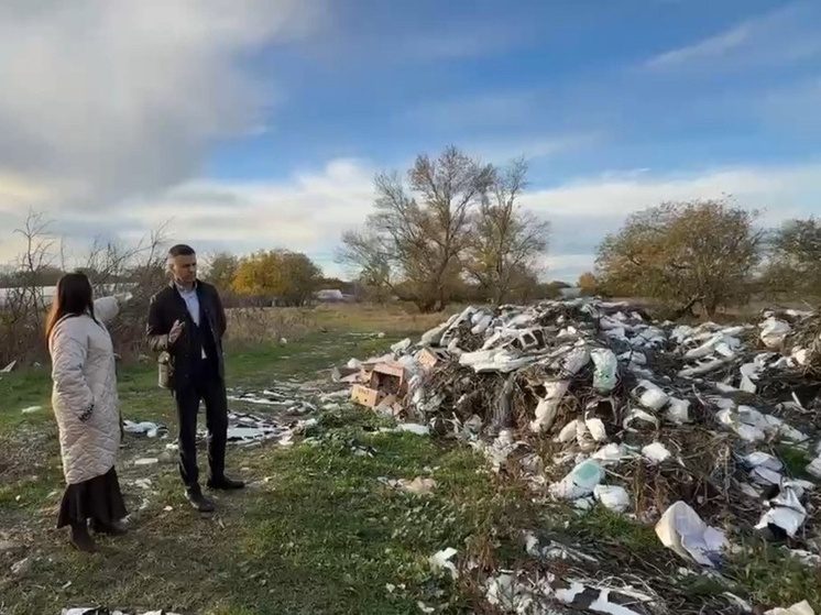 В Кочубеевском округе требуют убрать несанкционированную свалку в станице Барсуковской