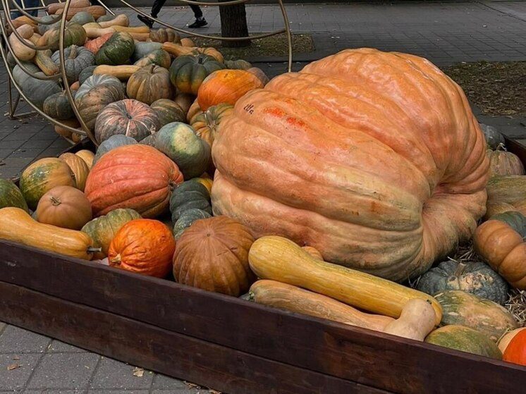 В Нальчике прошел фестиваль тыквы «Оранжевое настроение»