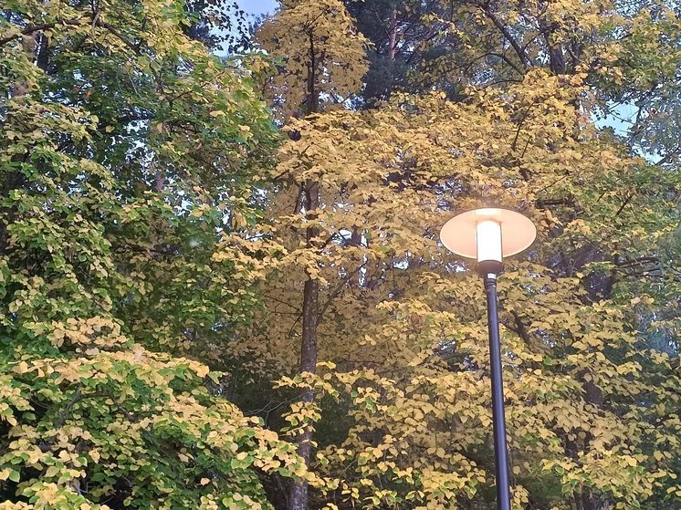 В Предгорном округе Ставрополья модернизировали систему уличного освещения