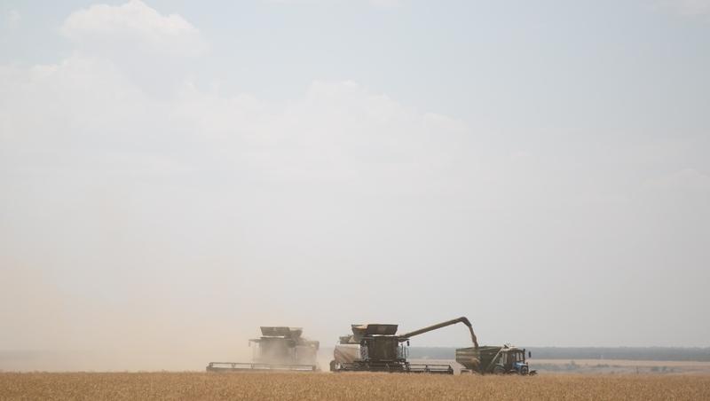 В Предгорном округе заготовили 65,2 тыс. тонн кормов для зимовки скота