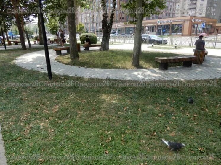 В Ставрополе экс-директора компании обвиняют в мошенничестве на 20 млн рублей при благоустройстве скверов