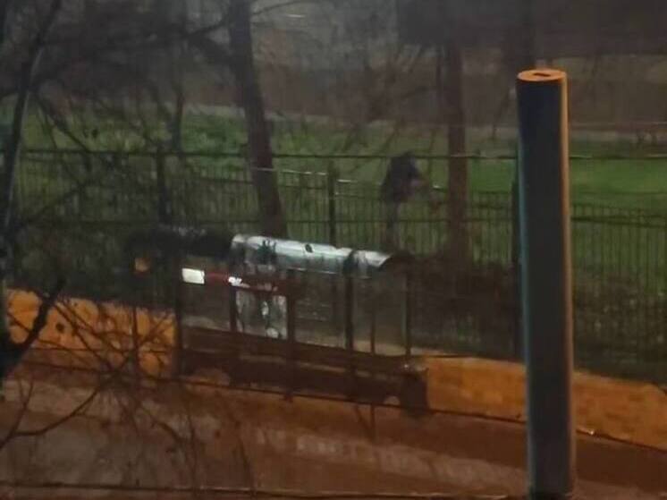 В Ставрополе неизвестный разбил остановку и проник на территорию школы