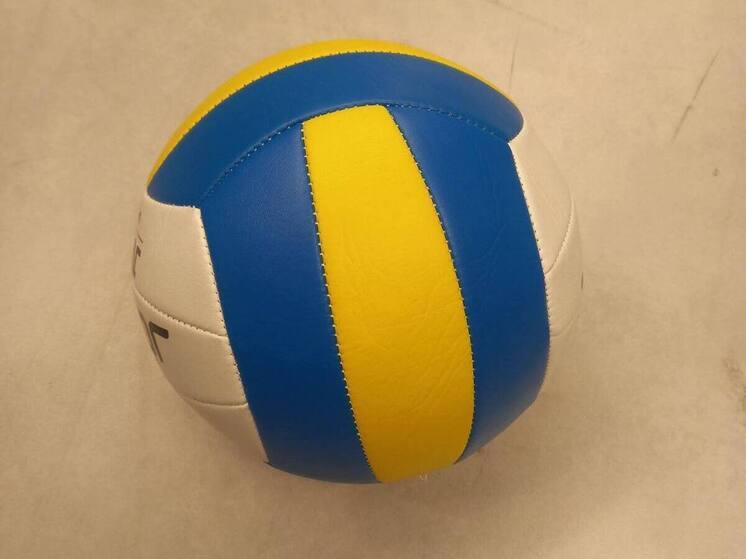 В Ставрополе прошел турнир по волейболу сидя