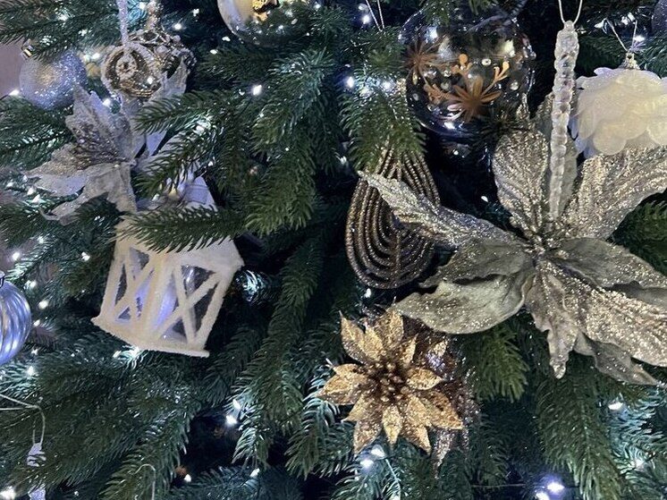 В Железноводске стартовала подготовка к новогоднему сезону