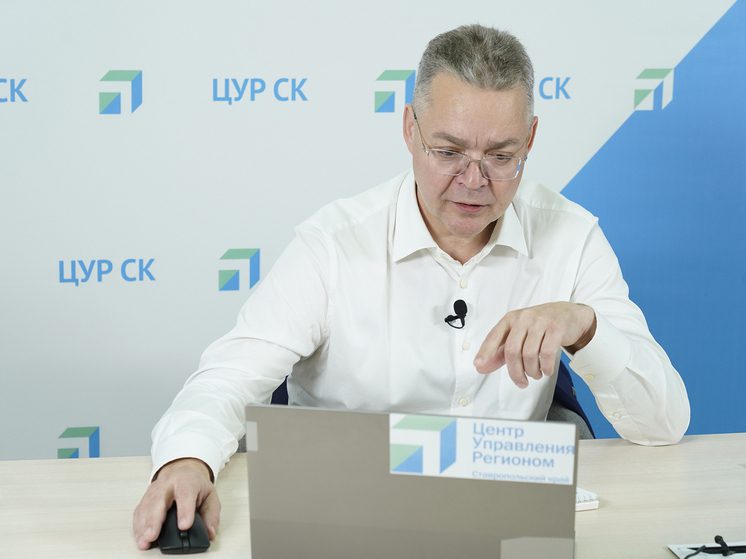 Владимир Владимиров пообещал решить проблему разбитой дороги в селе Арзгир