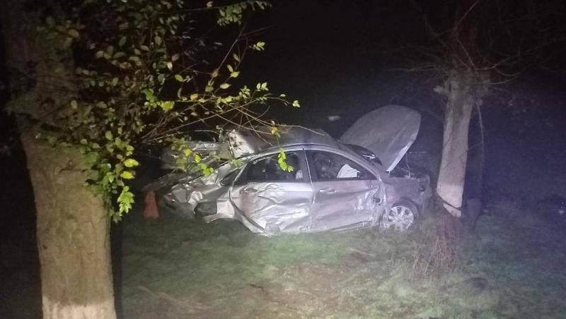 Водитель и пассажир легковушки погибли, врезавшись в дерево на Ставрополье