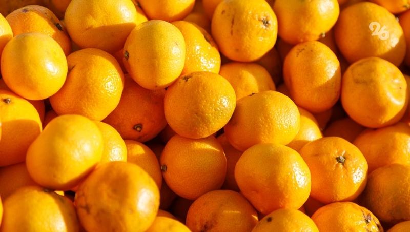 «Всё бесподобное — и люди, и товары»: на Ставрополье начали работать вечерние ярмарки