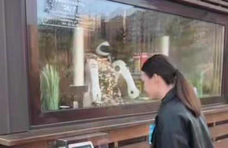 Выручку с кофе, сделанного роботом-бариста в Ставрополе, отправляют на поддержку СВО