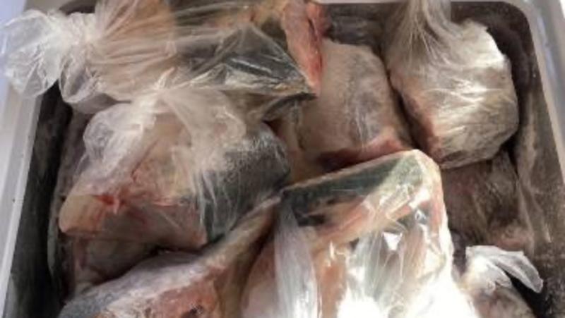 Замороженных осетров изъяли у ставропольца полицейские Астрахани