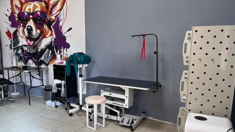 Жительница Предгорья открыла груминг-салон благодаря соцподдержке