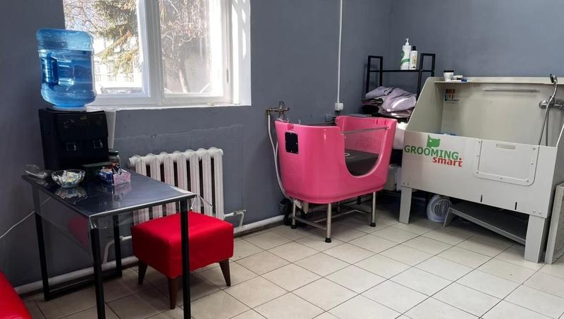 Жительница Предгорья открыла груминг-салон благодаря соцподдержке