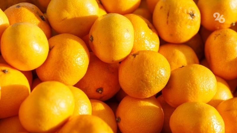 1 января в Невинномысске пройдёт &laquo;Мандариновый забег&raquo;