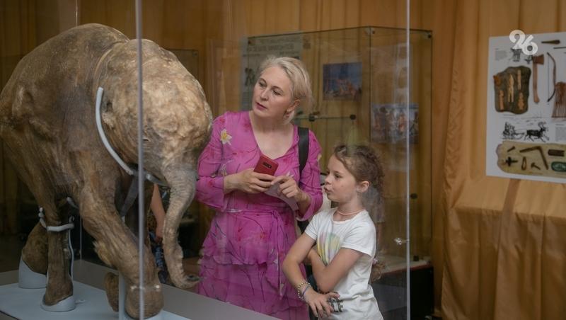 173 ставропольских работника культуры смогут повысить квалификацию в 2026 году