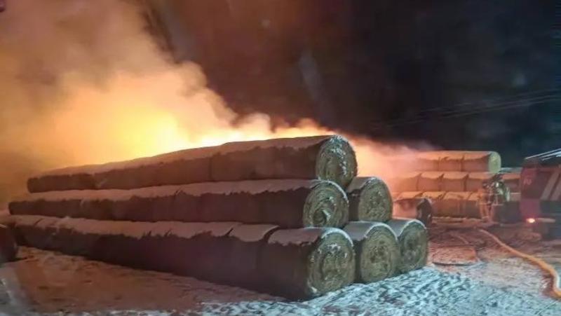 90 рулонов сена уничтожил пожар на ферме в Туркменском округе Ставрополья