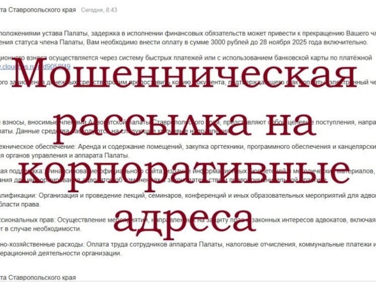 Адвокаты Ставрополья получают сообщения от мошенников по «уплате взносов»