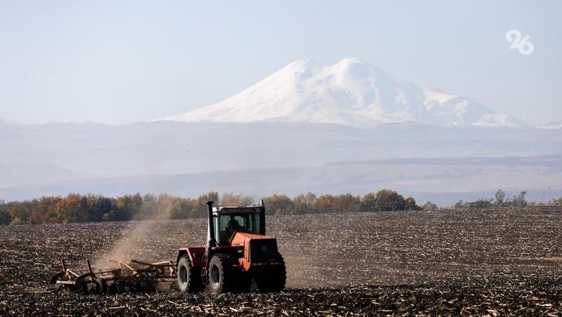 Аграрии Ставрополья получили 6,3 млрд рублей господдержки в 2025 году