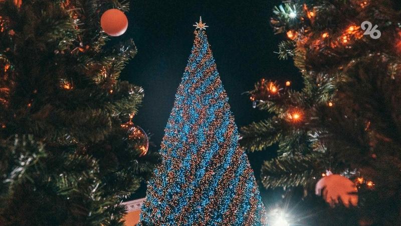 Астролог посоветовала ставропольцам, что есть и в чём встречать год Лошади