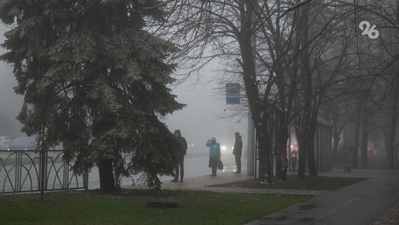 Автоинспекторы предупреждают о тумане в Александровском округе