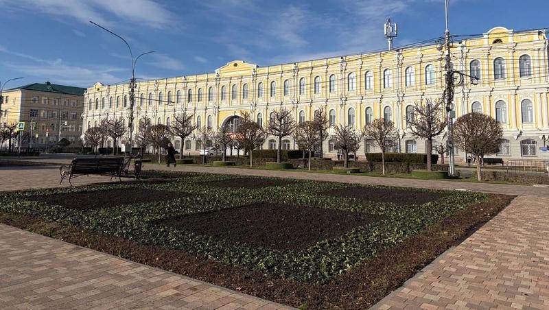 Более 120 тыс. луковичных цветов высадили под зиму на клумбах Ставрополя