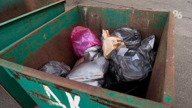 Более 200 мусорных контейнеров закупили в 26 округах Ставрополья