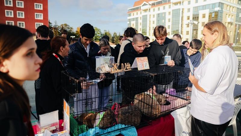 Более 40 тыс. человек поучаствовали в мероприятиях в 2025 году в Ставрополе