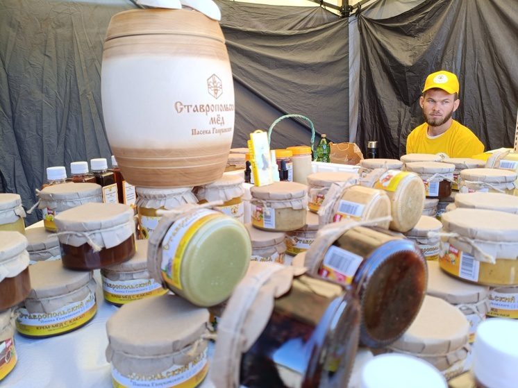 Число самозанятых на Ставрополье превысило 235 тысяч человек