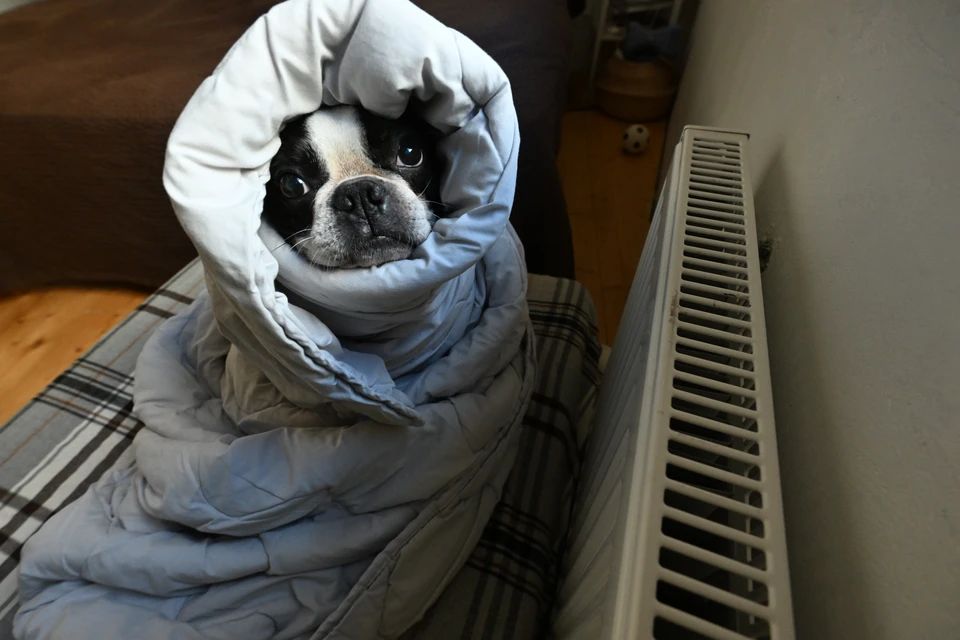 Десятки домов и соцобъекты остались без отопления в Кисловодске из-за аварии0