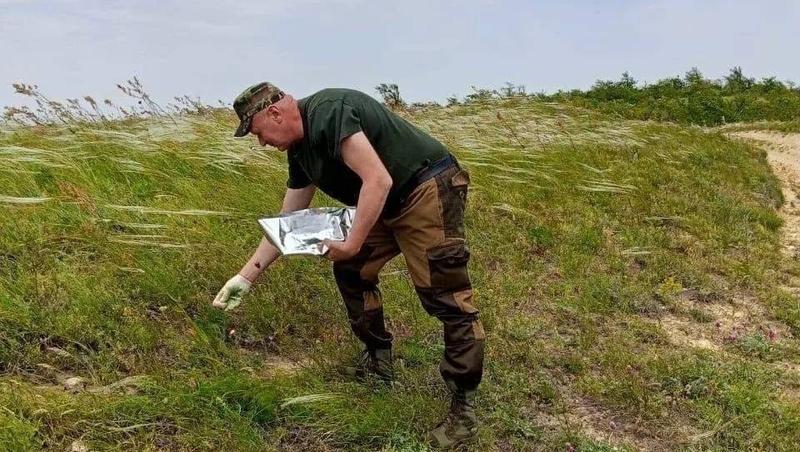 Диких животных в заповедниках Ставропольского края вакцинировали от бешенства