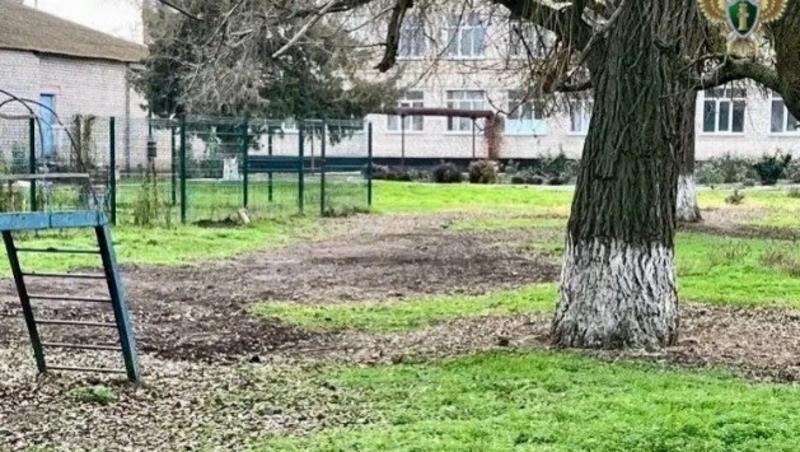 Директора ставропольской школы оштрафовали за мусор на территории