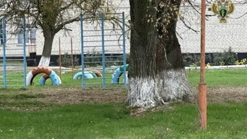 Директора ставропольской школы оштрафовали за мусор на территории