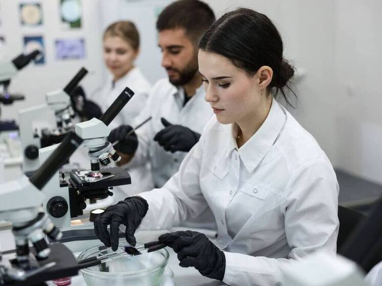 Двенадцать научных грантов РНФ поддержат исследования для экономики Ставрополья