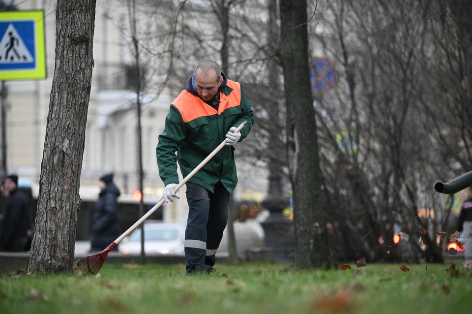 Дворников, токарей и маляров не хватает в Ставропольском крае0