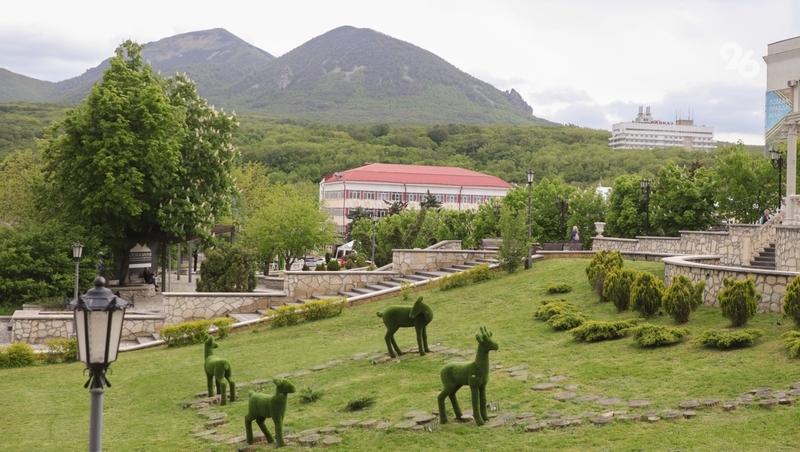 Фотоловушки для зверей установили в лесах Железноводска