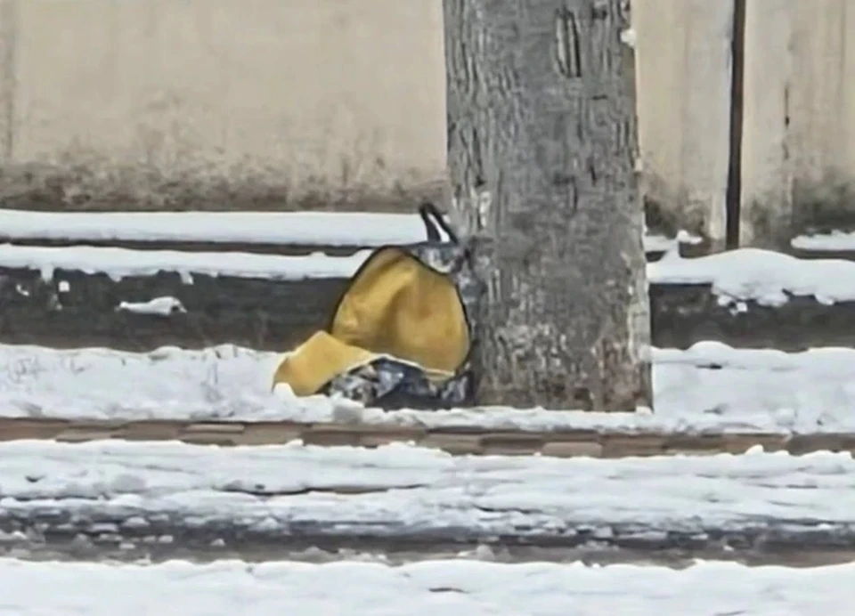 ФСБ показала видео задержания девушки, готовившей теракт в Ставрополе0