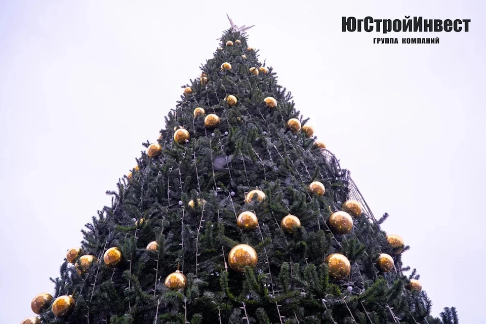 ГК «ЮгСтройИнвест» приняла участие в торжественном открытии новогодней елки в Кисловодске0