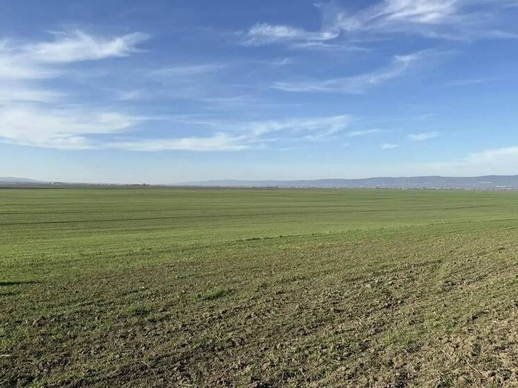 Глава Ингушетии сообщил об успешном завершении осенней посевной кампании под урожай 2026 года