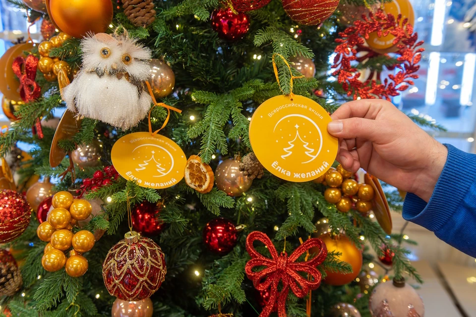 Глава Ставрополя исполнит новогодние мечты трех детей0