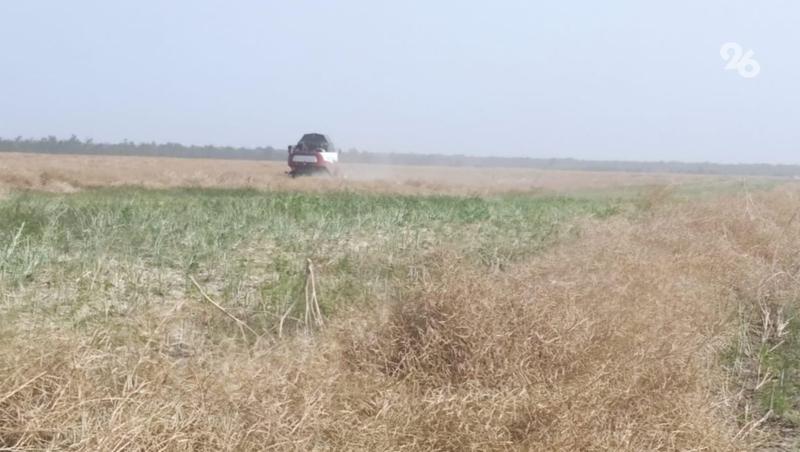 Глава Ставрополья отметил выполнение показателей нацпроекта по продбезопасности