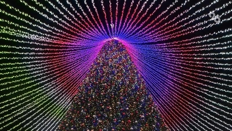 Главная ёлка Ставропольского края засияла огнями под новым шатром