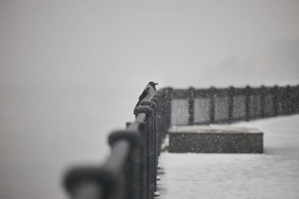 Губернатор Ставрополья дал министерствам ряд поручений на фоне ухудшения погоды0