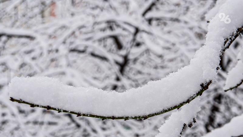 Из-за пурги в Дагестане закрыли участок дороги, ведущий к высокогорным сёлам