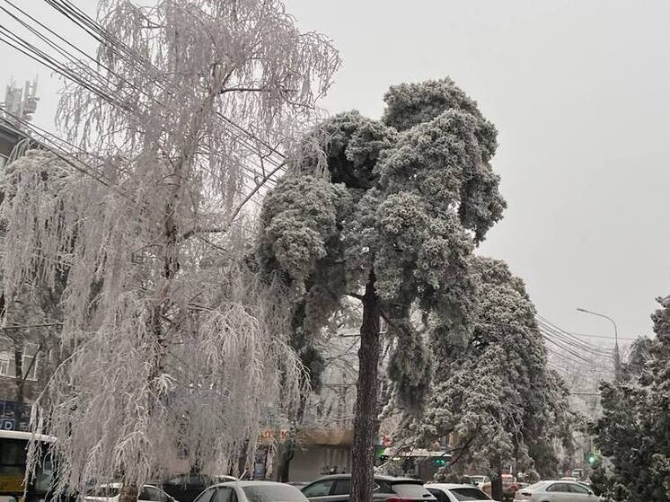 Из-за сильного ветра в Северной Осетии отключилось электричество, экстренные службы переведены на усиленный режим