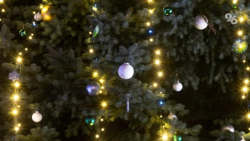 Юная жительница Кировского округа побывала на главной ёлке страны