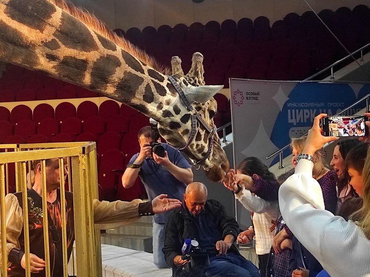 Кисловодский цирк удостоен благодарности министра культуры РФ за инклюзивные проекты