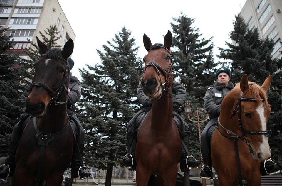 Конные казачьи отряды будут патрулировать улицы Владикавказа наряду с полицией0