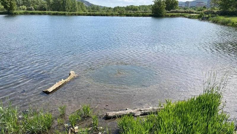 Краевое минприроды готовит план капремонта Нового озера в Кисловодске