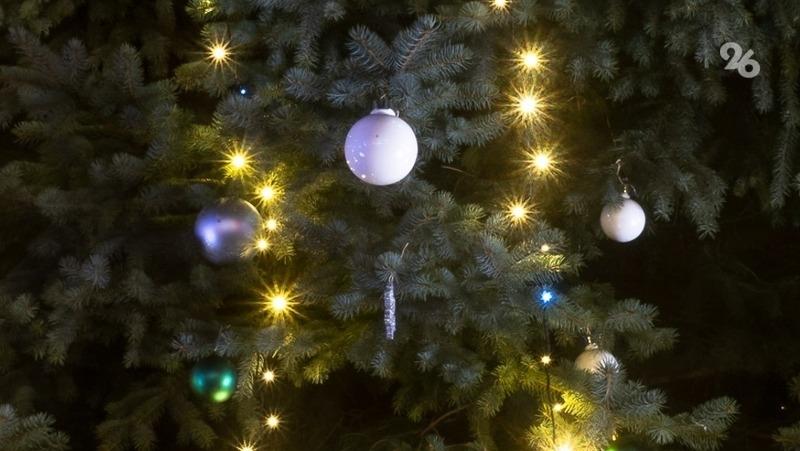 Краснодарский инфекционист опровергла слухи о заражении от &laquo;ёлочных&raquo; клещей