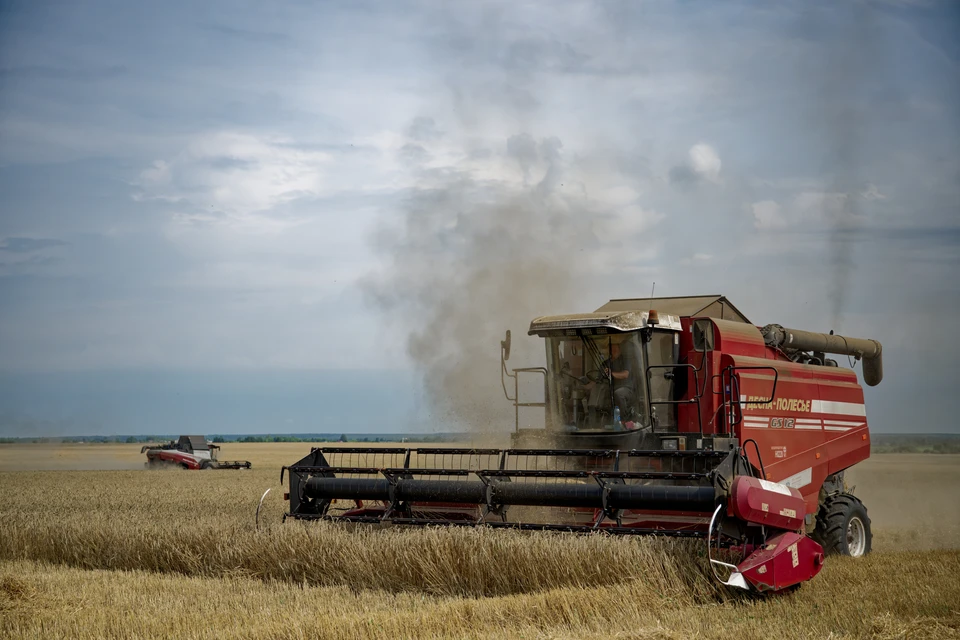 Медианная зарплата в агросекторе Ставрополья составила 82,3 тысячи рублей0