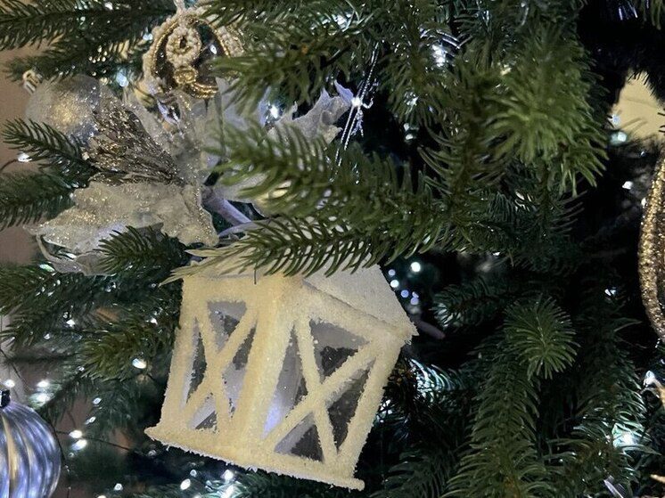 Мэр Железноводска Евгений Бакулин принял участие в акции «Ёлка желаний»