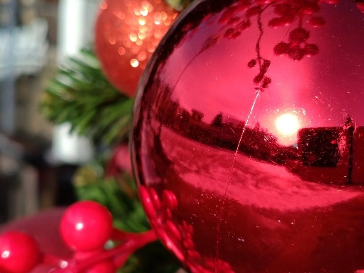 На Эльбрусе открылась аллея из 10 концептуальных новогодних елей